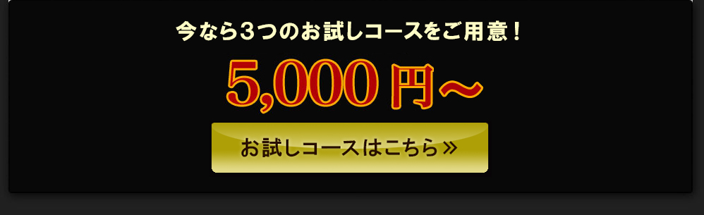今なら 通常価格 30,000円が→5,000円
